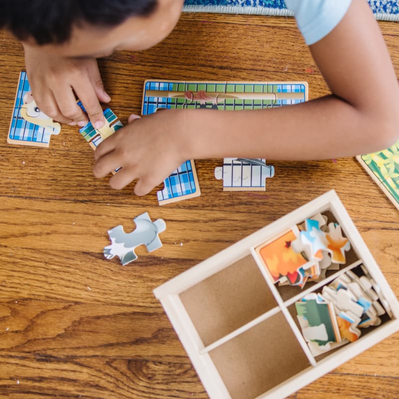 Houten 4 Puzzel Box - Huisdieren Toys